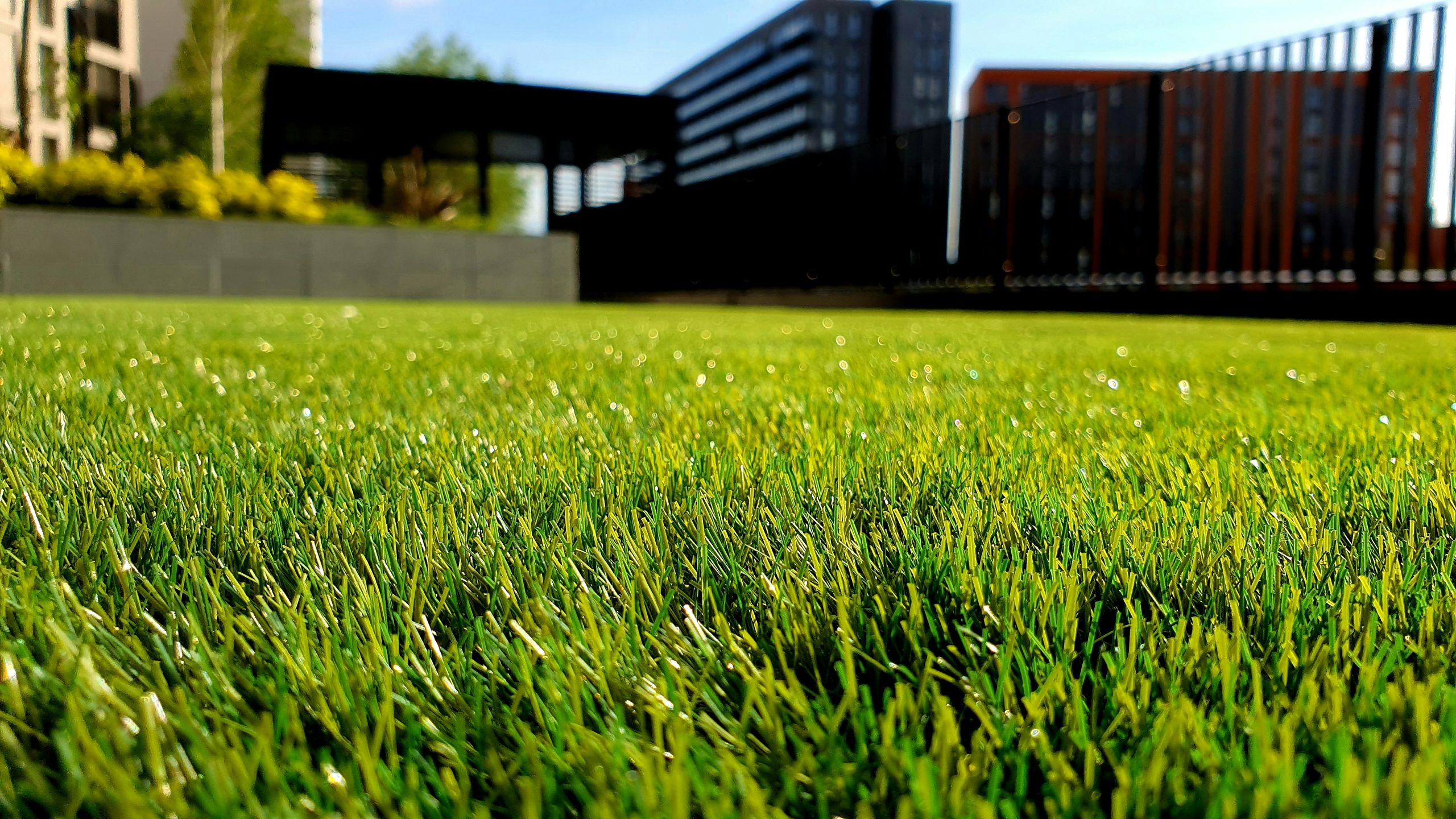 Close-up view of vibrant green artificial grass with morning dew glistening on the blades. In the background, modern buildings and a shaded structure are visible, creating a serene urban landscape. The image showcases the lushness of the grass, emphasizing its maintenance-free appeal and aesthetic value for outdoor spaces. Ideal for promoting landscaping or home improvement services, this image highlights the beauty and practicality of synthetic turf in residential or commercial environments.