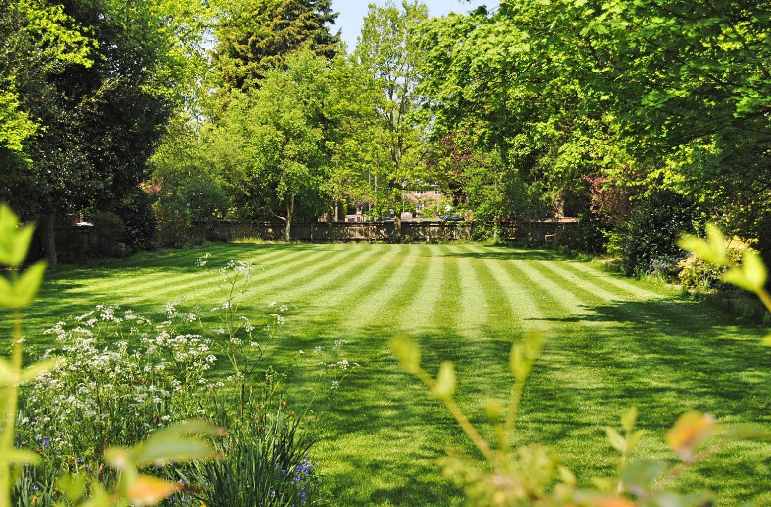 Lush green lawn with neatly striped grass, bordered by vibrant flowering plants and trees in a sunny garden setting. The image showcases a serene outdoor space, ideal for relaxation or recreational activities. The well-maintained lawn features contrasting light and dark green stripes, highlighting the manicured appearance. Surrounding trees provide shade and enhance the natural beauty of the landscape, while the colorful flowers add visual interest. This picturesque garden scene is perfect for gardening enthusiasts or anyone seeking inspiration for outdoor aesthetics.