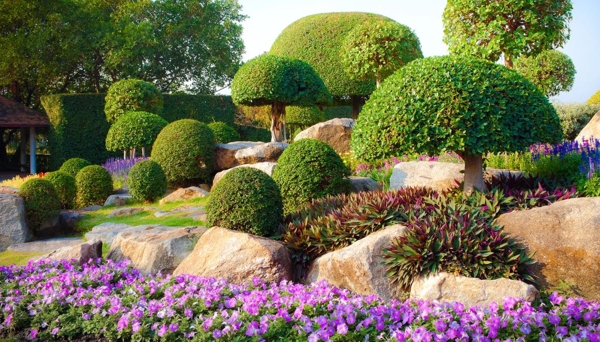 Lush garden landscape featuring neatly trimmed round shrubs and small trees, surrounded by colorful flowering plants, including vibrant purple blooms. Large, smooth rocks are integrated into the design, adding texture and natural beauty. This serene outdoor space is complemented by a backdrop of dense green hedges and trees, creating a peaceful atmosphere ideal for relaxation. The image captures the harmony of nature and landscape design, showcasing sustainable gardening practices.