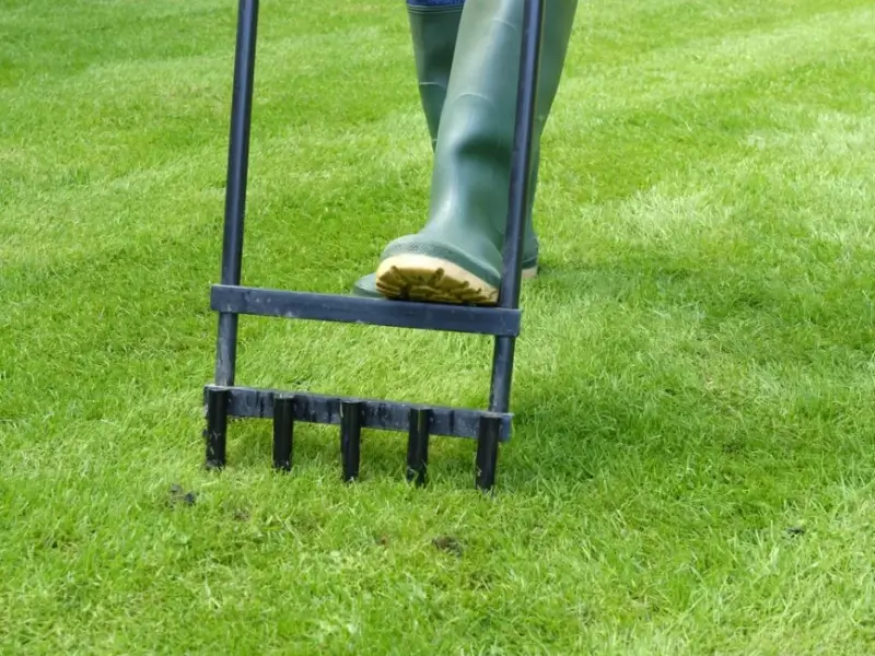 Aeration & Overseeding — Keystone Green lawn and landscape photography, image 1