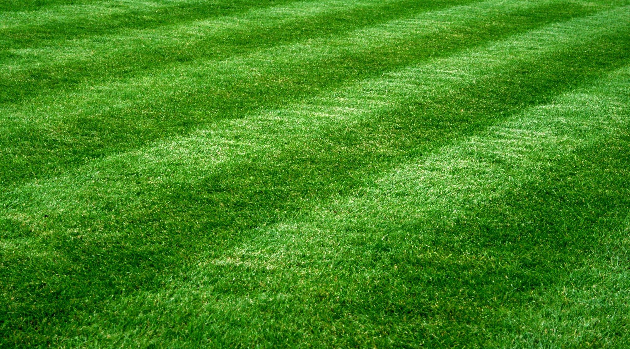 Lime Treatments — Keystone Green lawn and landscape photography, image 1