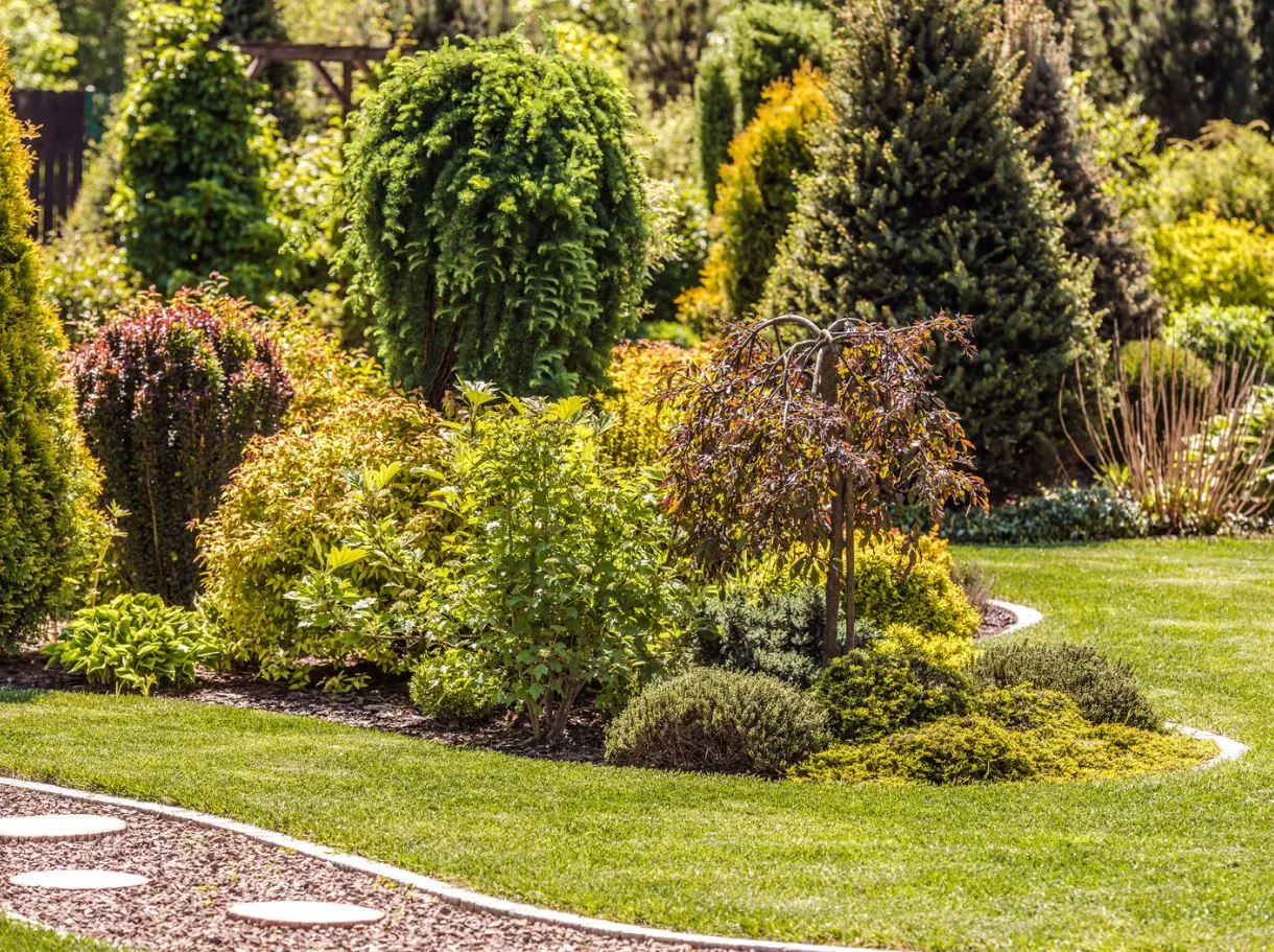 Plant Disease Protection