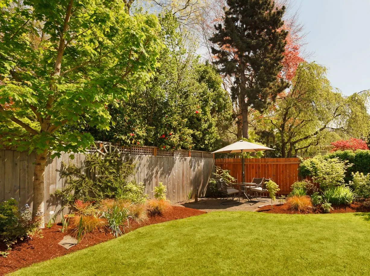 Plant health care and tree and shrub services in Allison Park