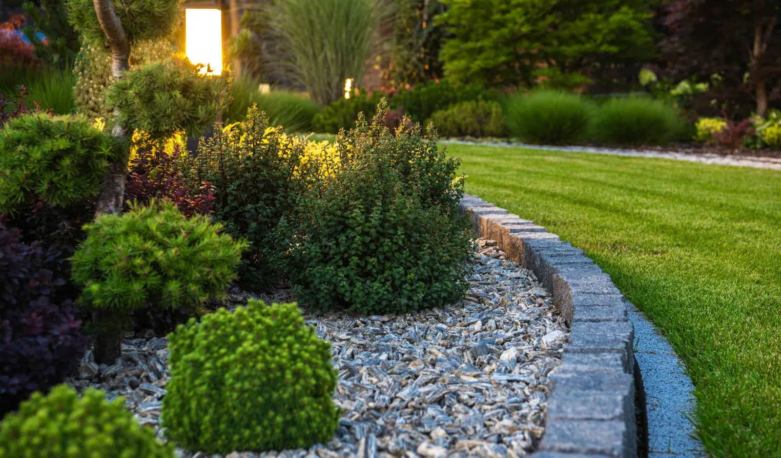 Professional service