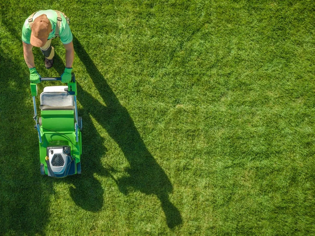 Professional lawn and landscape care in Allison Park