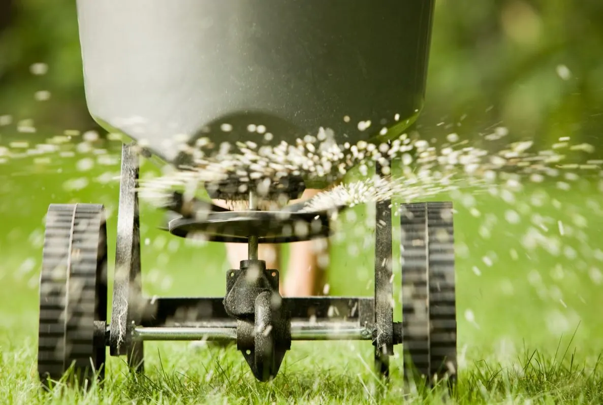 Application schedule