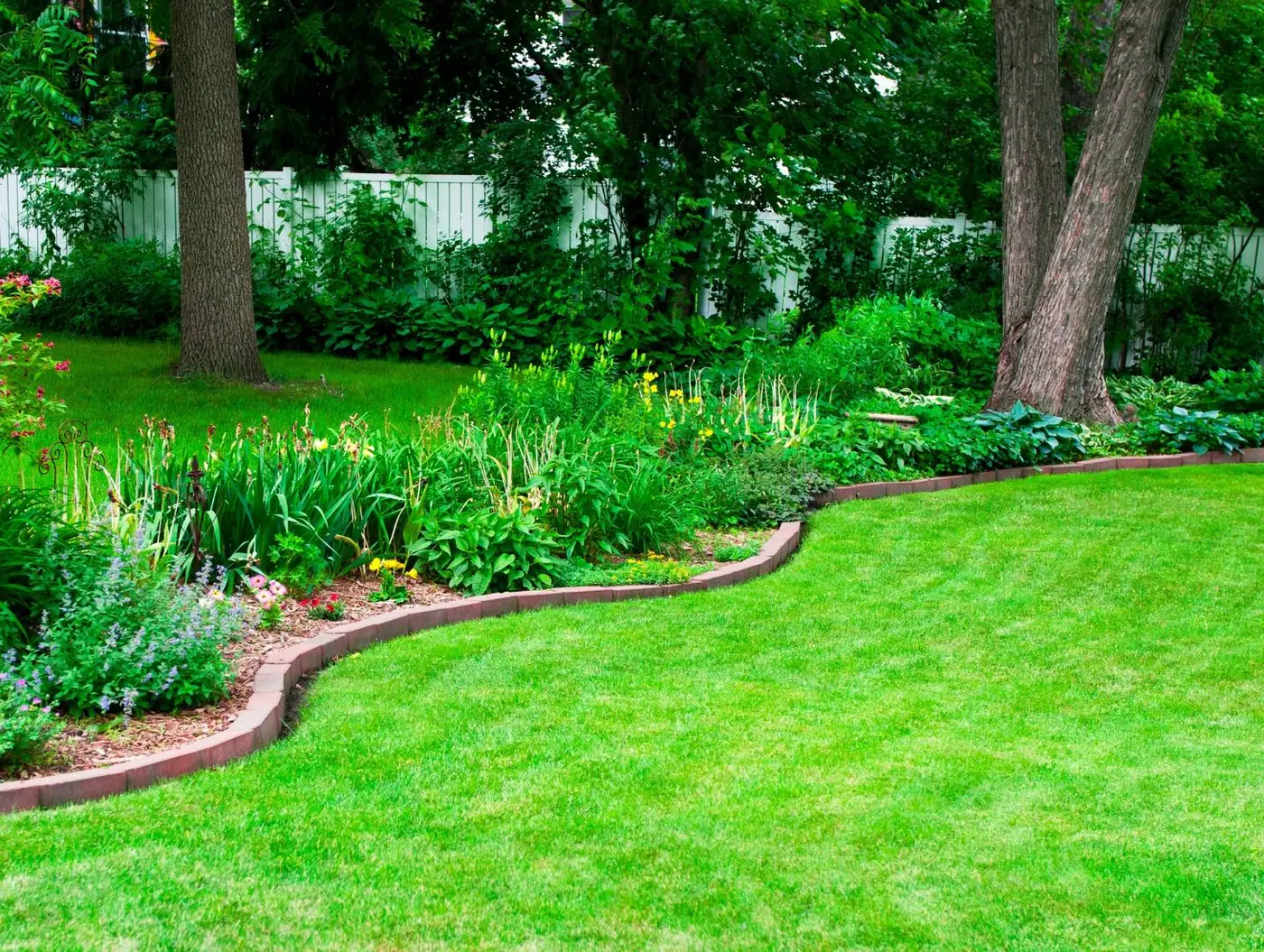 Professional lawn care service