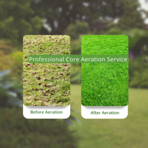 Lawn Aeration Carousel